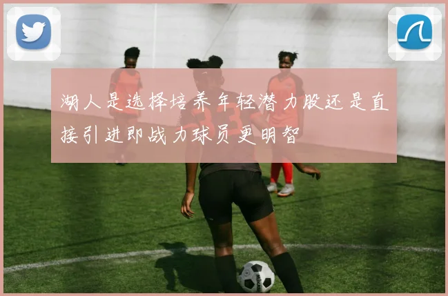 湖人是选择培养年轻潜力股还是直接引进即战力球员更明智